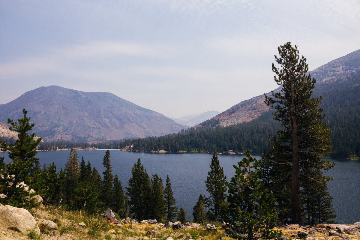 Tioga Lake (Lee Vining): All You Need to Know BEFORE You Go