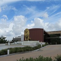 Welcomed by the Lion