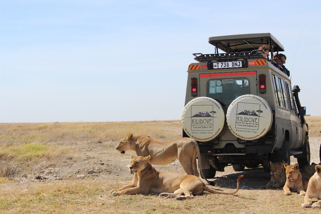 Kilidove Tours and Safaris