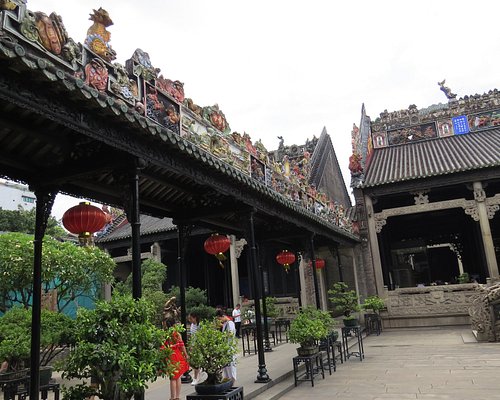 Ancient 'kapok king' draws visitors in Guangzhou 