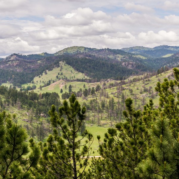 Wind Cave National Park - All You Need to Know BEFORE You Go (2024)