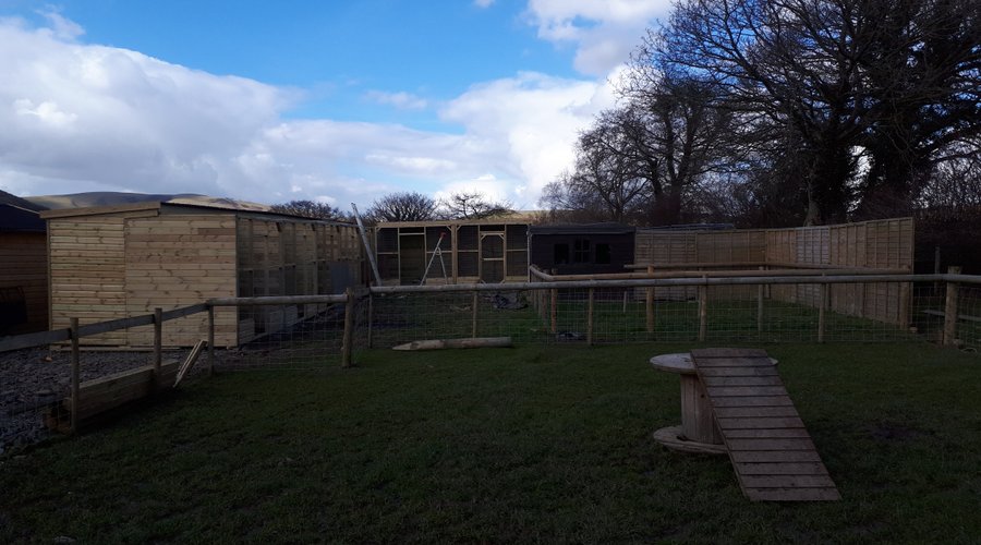 New bird of prey aviaries