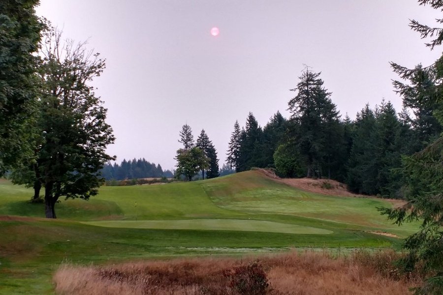 The Home Course image