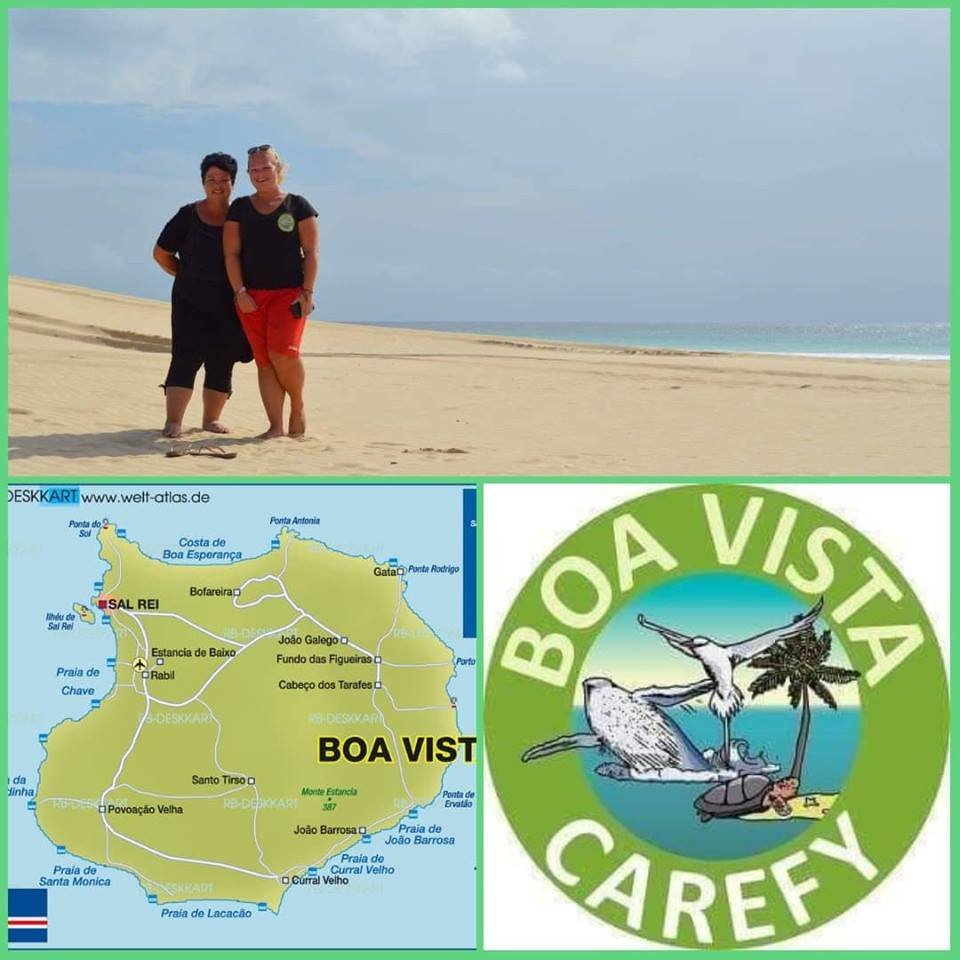 DIE TOP 10 Sehenswürdigkeiten in Boa Vista 2022 (mit fotos) Tripadvisor