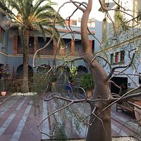 Casa Africa.