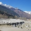 Things To Do in Hidden Himachal - Treks & Adventure, Restaurants in Hidden Himachal - Treks & Adventure