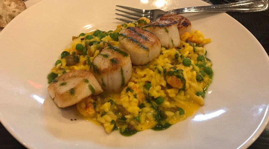 Scallops
