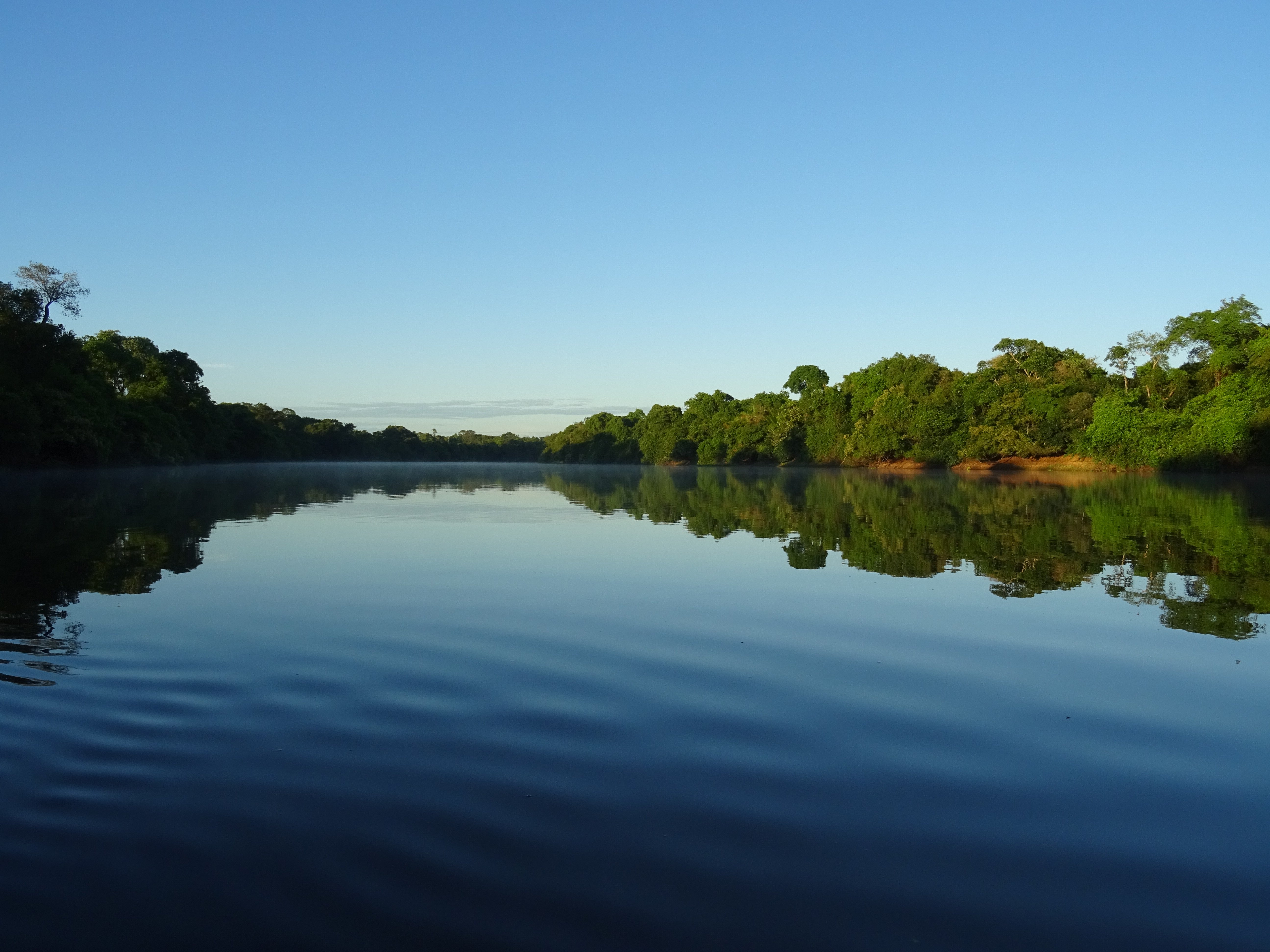 Toerisme In Pantanal 2024 - Beoordelingen - Tripadvisor