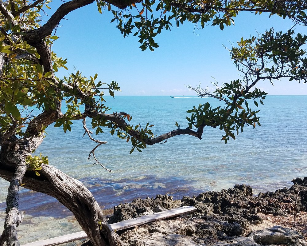THE 5 BEST Florida Keys State Parks (Updated 2024) - Tripadvisor