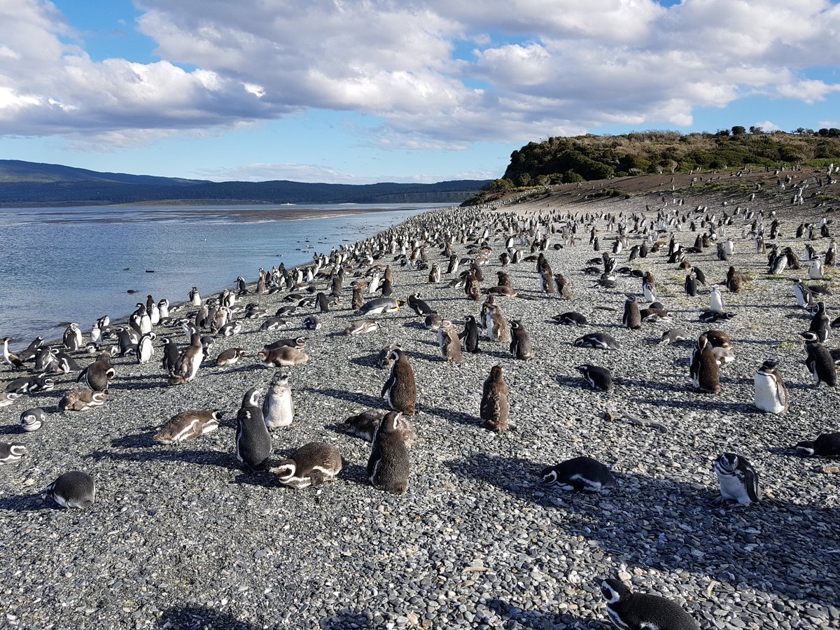 22年 マルティージョ島 行く前に 見どころをチェック トリップアドバイザー