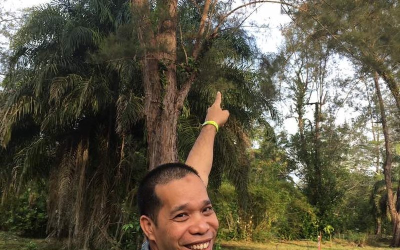 Hornbill watching