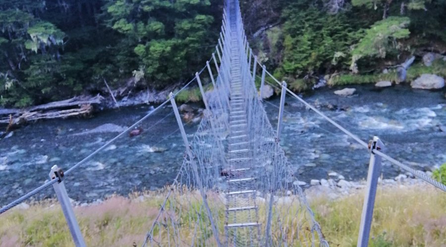 Swingbridge between Hamilton hut and Harper hut. 1 person at a time!