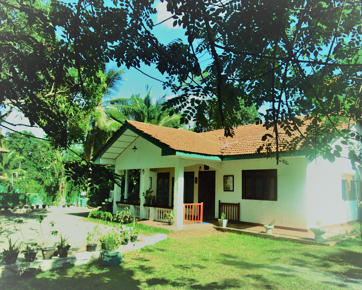 Green Herbal Ayurvedic Eco-Lodge, hotel in Galle