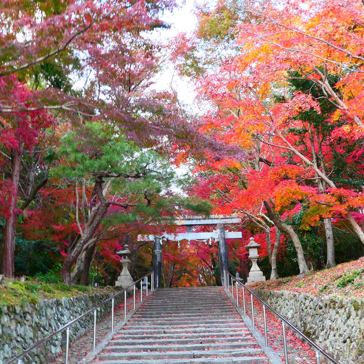 oharano-shrine-kyoto-japan-address-phone-number-free-attraction