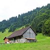 Things To Do in Best of Bernese Oberland Tour from Zurich, Restaurants in Best of Bernese Oberland Tour from Zurich