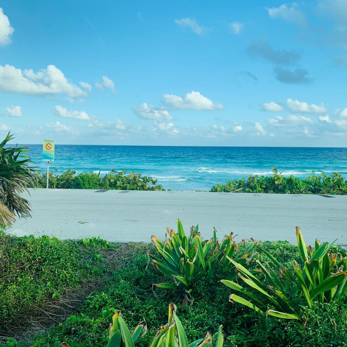 PLAYA DE SAN MARTÍN (Cozumel) - Qué DEBES saber antes de ir