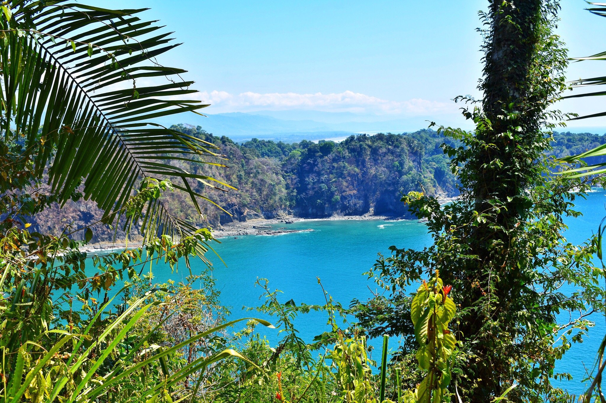 MANUEL ANTONIO NATIONAL PARK All You Need To Know BEFORE You Go   Photo0jpg 