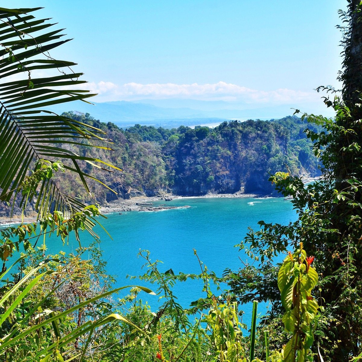 MANUEL ANTONIO NATIONAL PARK All You Need to Know