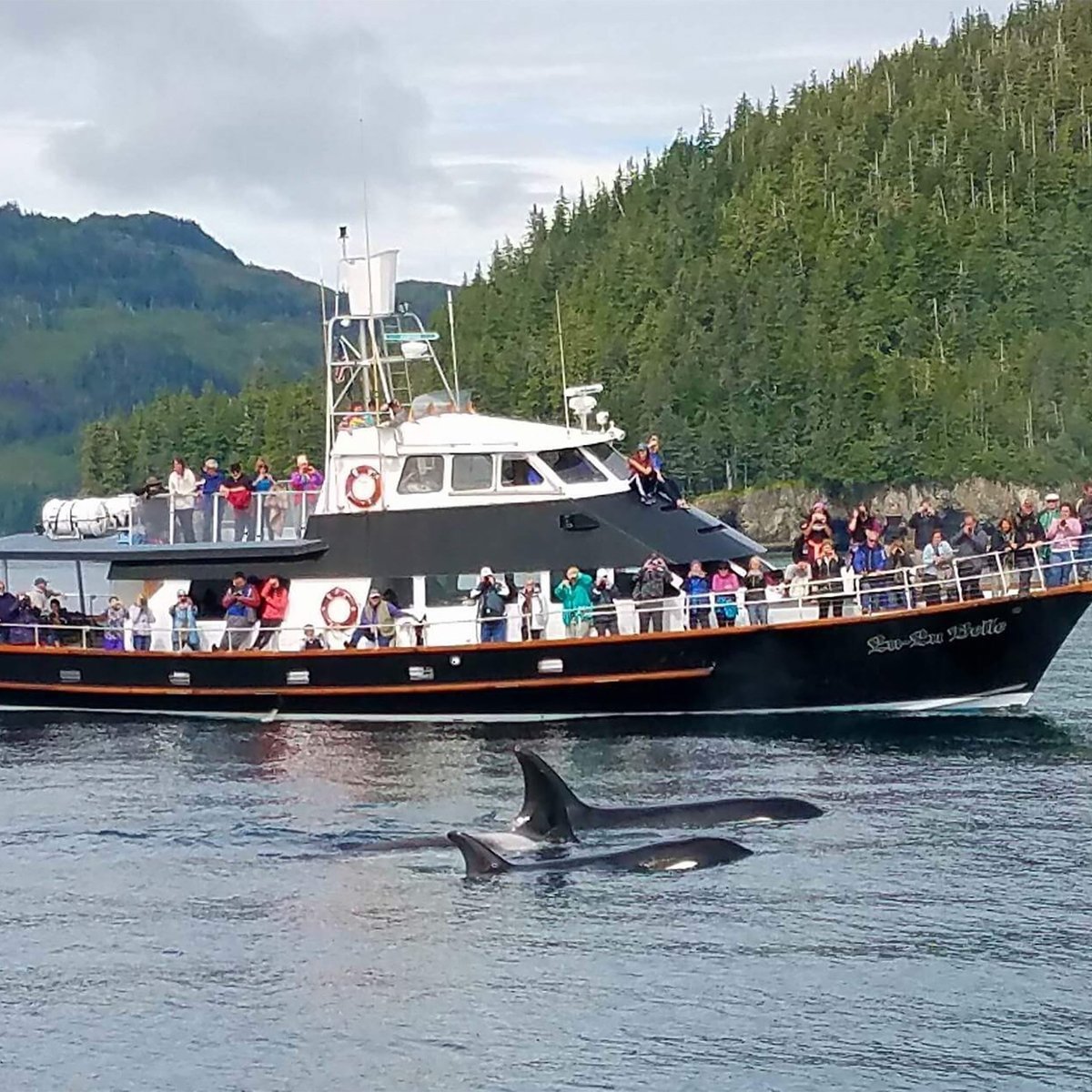 Lu Lu Belle Glacier Wildlife Cruises - All You Need to Know BEFORE You ...