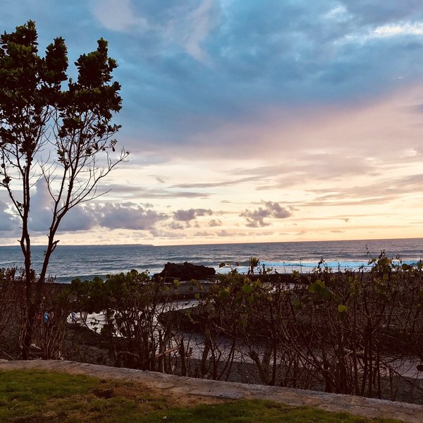 THE 10 BEST Restaurants Near Ize Canggu (Updated 2024)