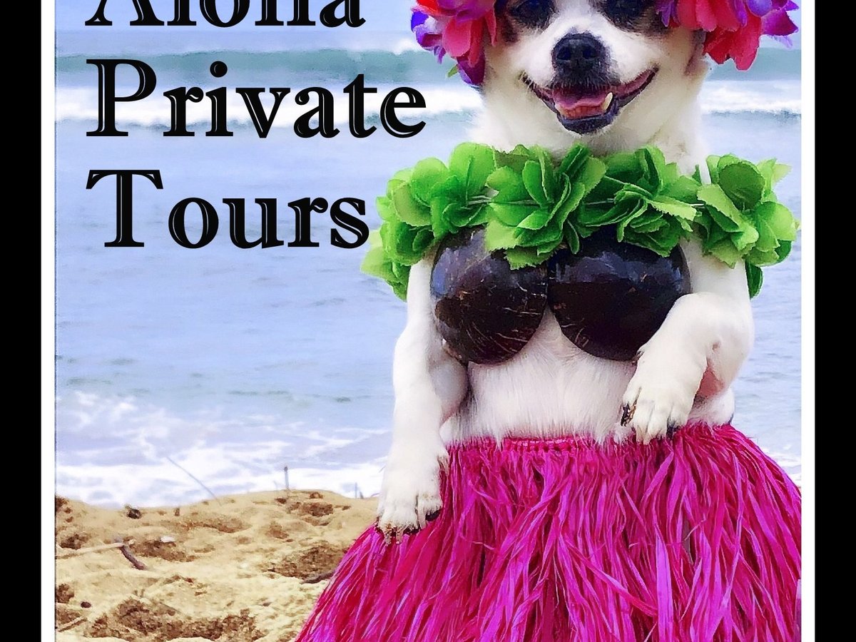 Aloha Private Tours - All You Need to Know BEFORE You Go (2024)