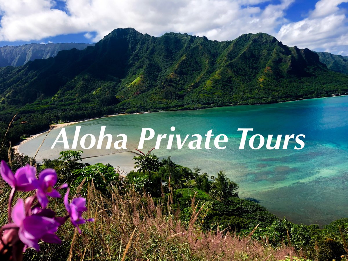 Aloha Private Tours - All You Need to Know BEFORE You Go (2024)