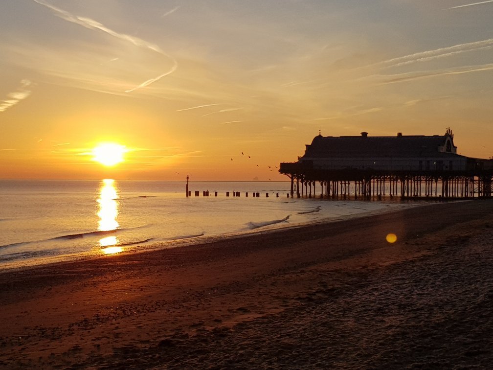 when can dogs go on the beach in cleethorpes