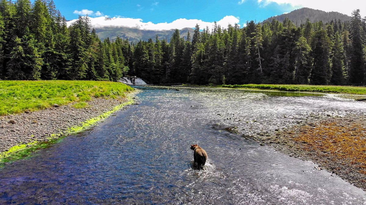 Sitka - Alaska's Most Productive Alaska Fishing Lodge Destination - Talon  Lodge