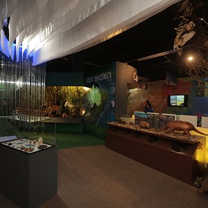 Museu de Cera Dreamland - All You Need to Know BEFORE You Go (with