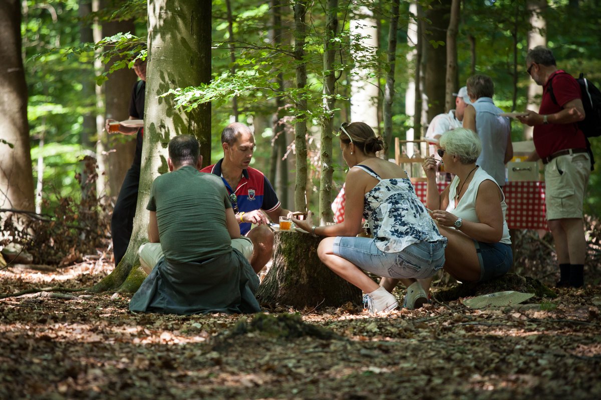 Turism i Veberöd 2021 - Veberöd fakta - Tripadvisor