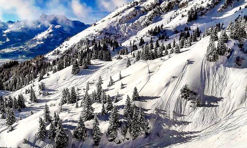Awesome picture from the swiss mountains🇨🇭. Enjoy !