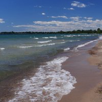 BIG SANDY BAY CONSERVATION AREA (Wolfe Island) - 2022 What to Know ...