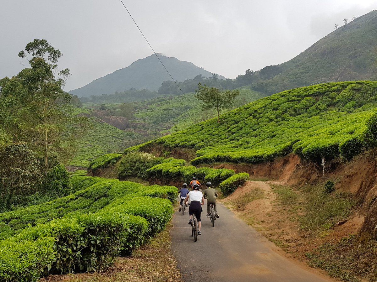 Trek Munnar (2025) - All You Need to Know BEFORE You Go (with Reviews)