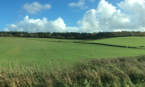 Beautiful countryside 