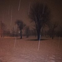 Parco del sangone innevato