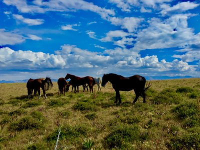 Wapiti, WY 2023: Best Places to Visit - Tripadvisor