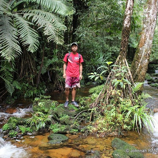 Farankaraina Tropical Park Maroantsetra Ce Quil Faut Savoir