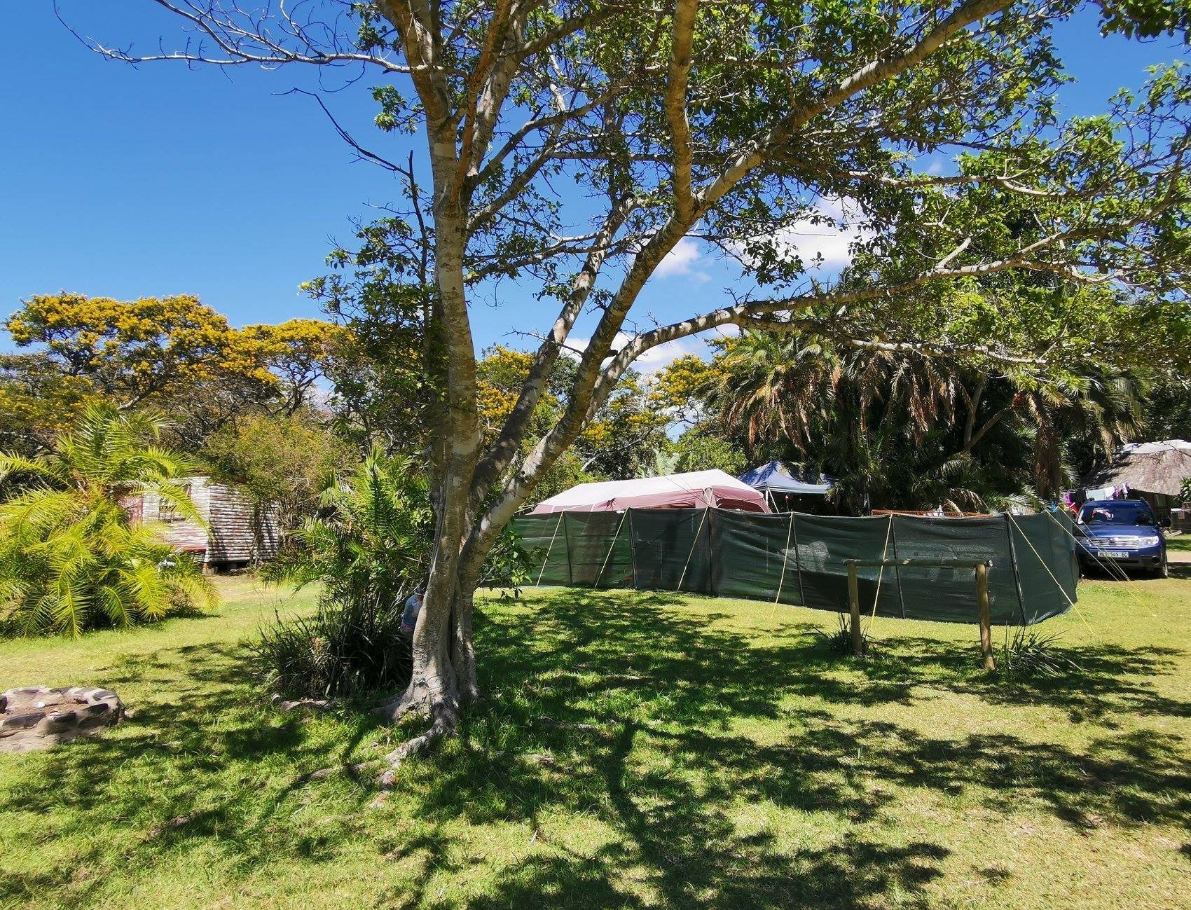 Yellowwood Forest Morgan Bay. Camping & Accommodation by null