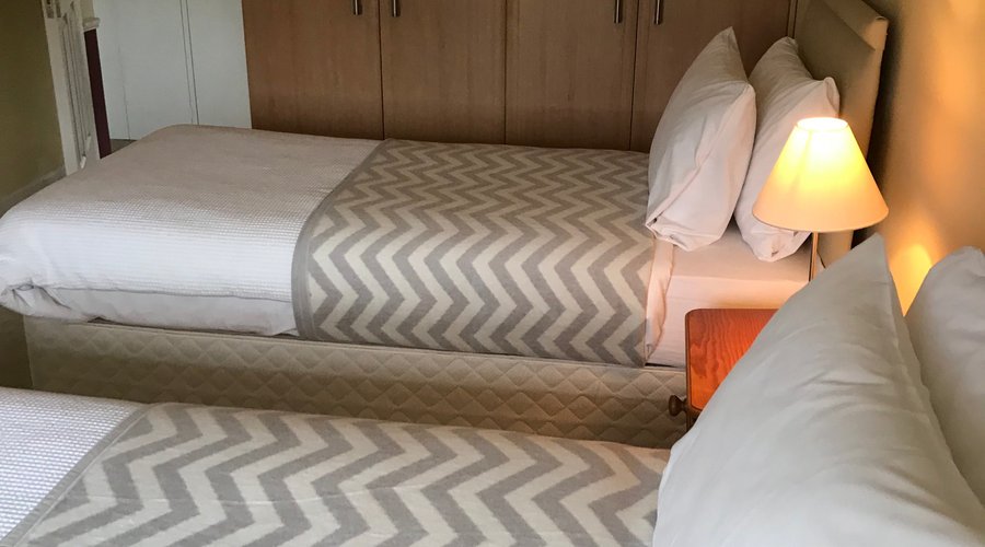 Twin Room with Mountain Viee