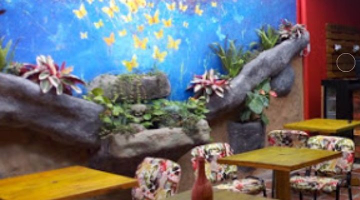 Community area