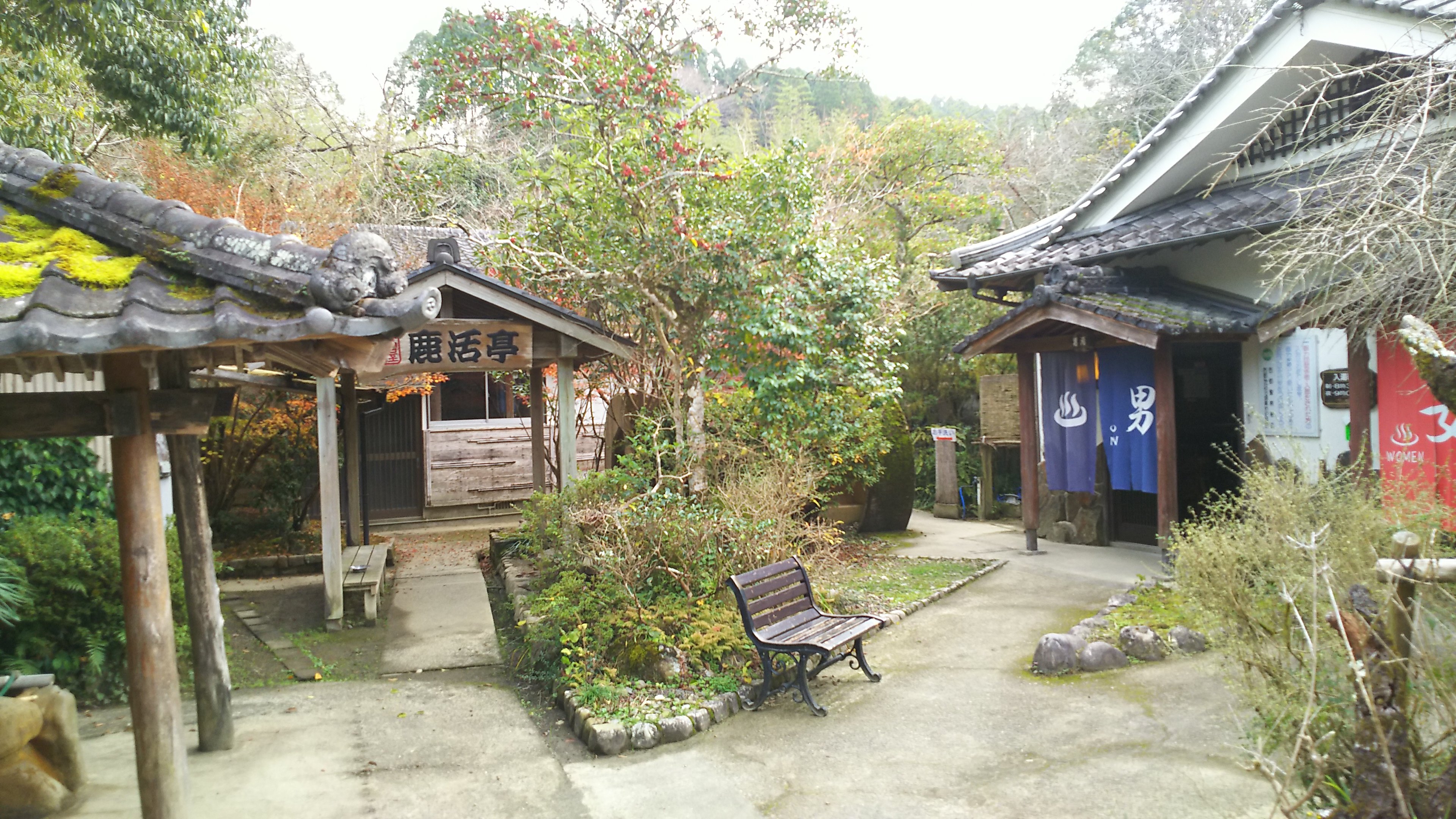 高屋 セール 温泉 ペット