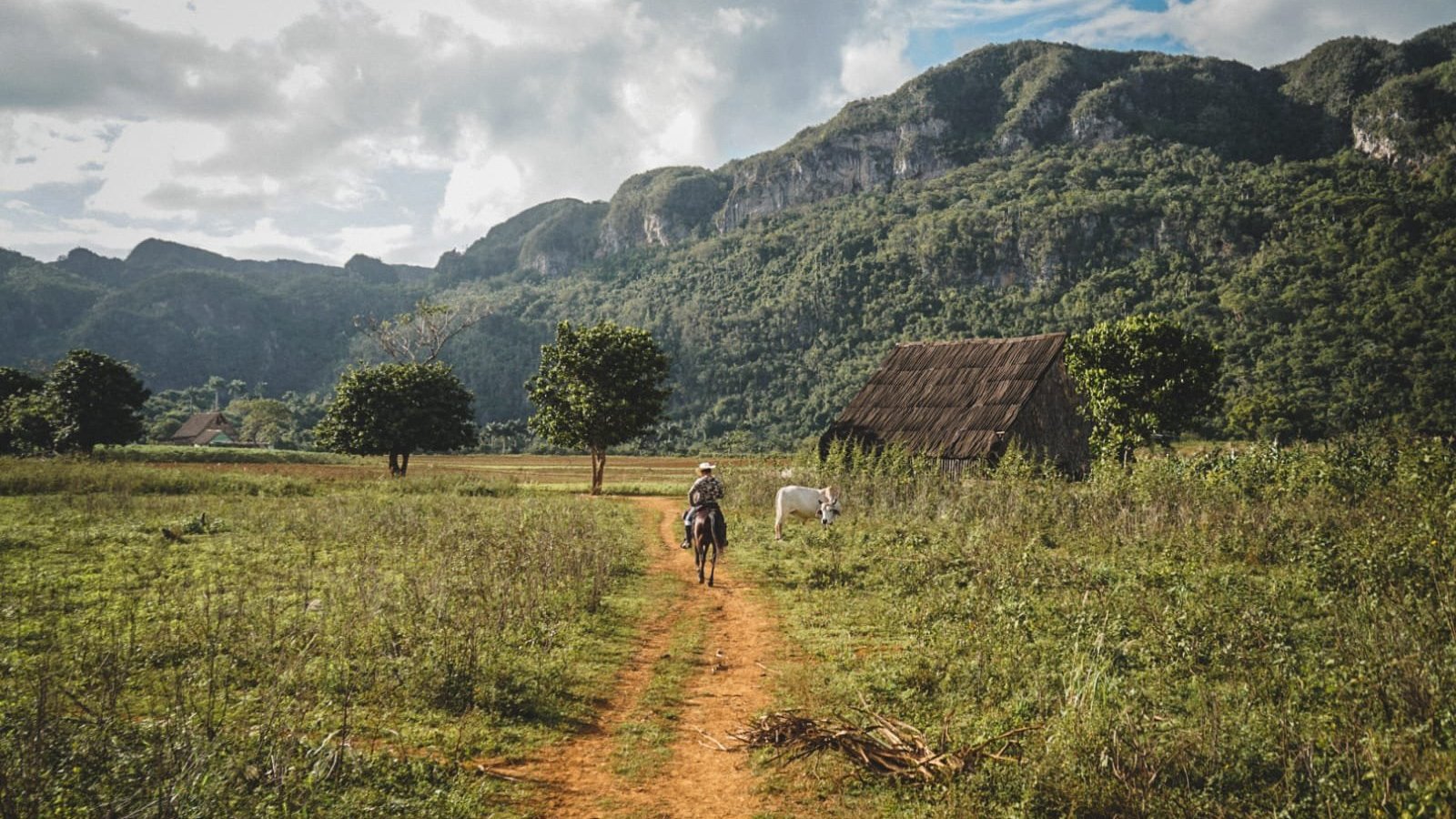 21年 The Vinales Experience Cuba 行く前に 見どころをチェック トリップアドバイザー