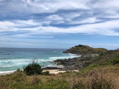 is cabarita beach dog friendly