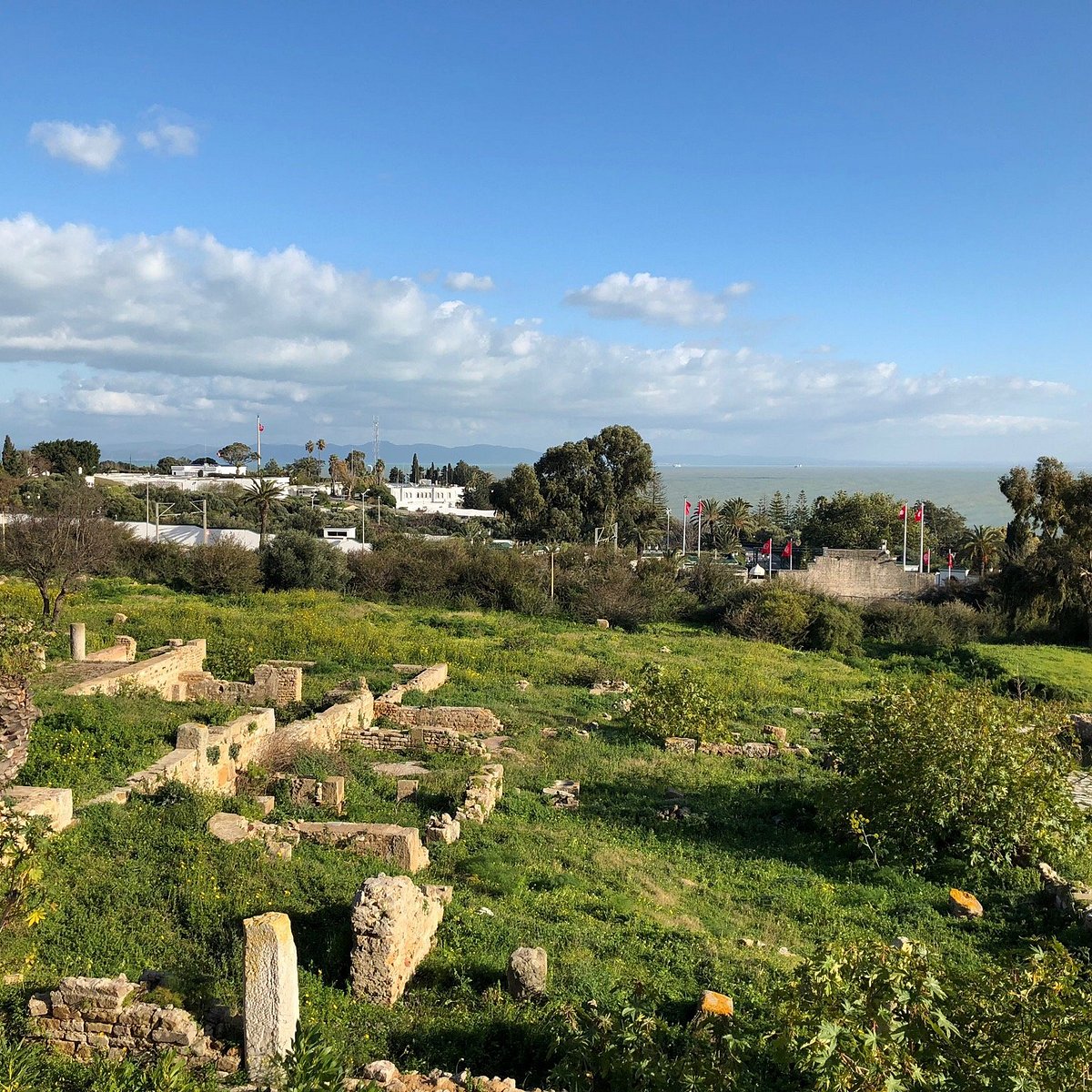 Villas Romaines, Carthage