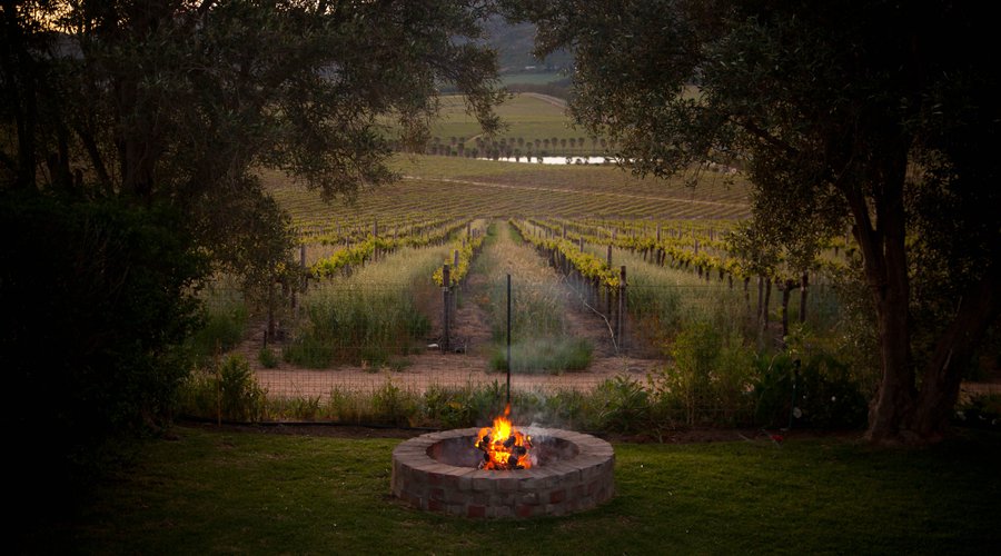 Outside braai - vineyard cottage