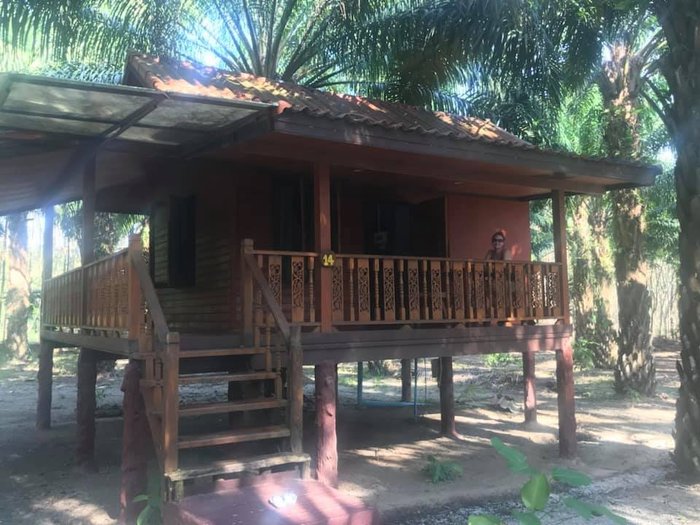 Khao Sok Palmview Resort Rooms: Pictures & Reviews - Tripadvisor