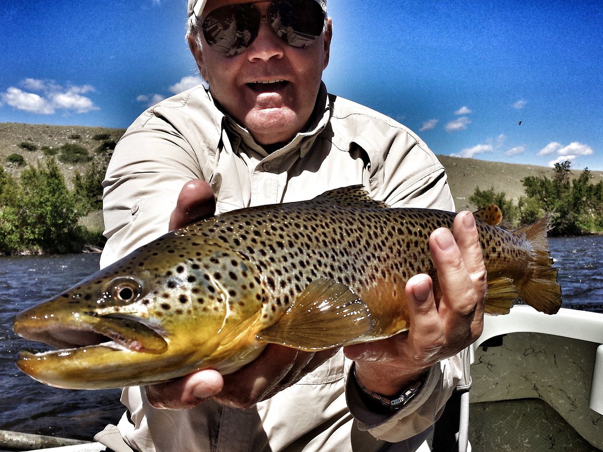 Trout Stalkers - Outfitter & Fly Shop - All You Need to Know BEFORE You Go  (2024)