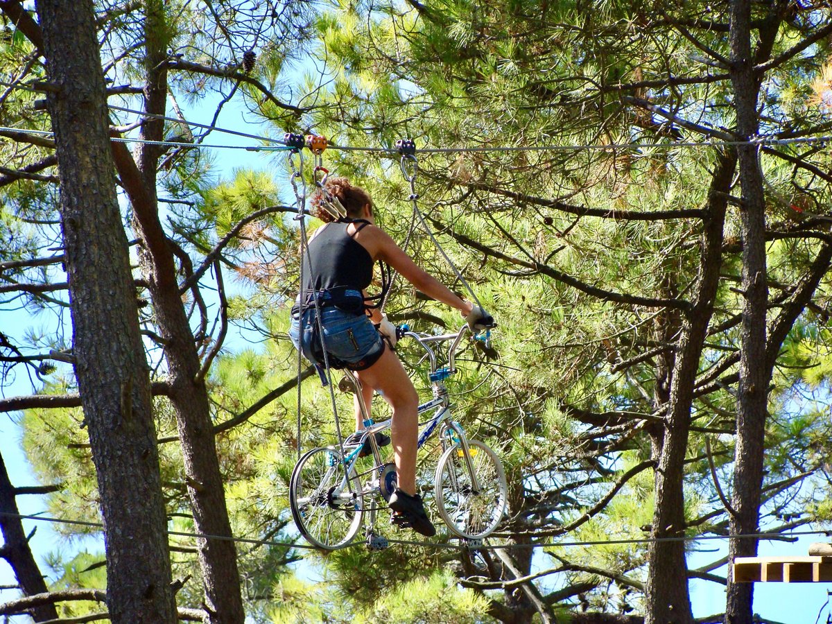 Feeling Forest, Сент-Илер-де-Рье: лучшие советы перед посещением -  Tripadvisor