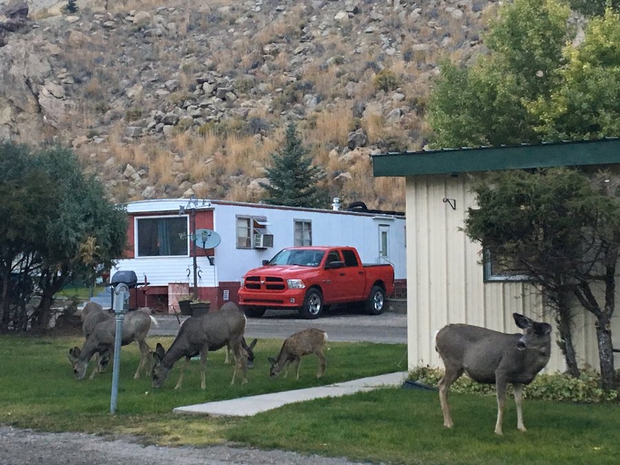 Montana's Big Sky Camp & RV Park: Your Gateway to Adventure