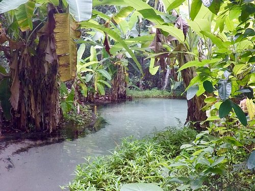 Natural pool in the capital of Brazil 